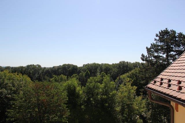 Luxusvilla Szentendrén – Örökpanorámás, 415 m²-es birtok, 6 hálószobával, medencével az óváros közelében - Kép 24